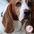 Pam Heady's profile image