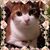 Mary Willson's profile image