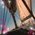 Tamara Brandhurst's profile image