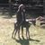 Yvonne Haislip's profile image