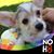 Lori Schlecht's profile image