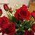Martha Segovia's profile image