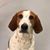 Marc Sheffler's profile image