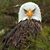 Mike An Jessica Dezarn's profile image