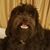 Kim Doyle's profile image