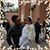 Patricia Cano Camacho's profile image