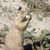 Don Dunsmore's profile image