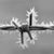 Shawn Ray Wilson's profile image