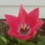 Christina Careatti's profile image
