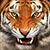 Russell J. Ziebell's profile image