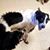 Amy Wyse's profile image