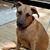 Sheila Bradac's profile image
