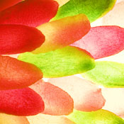 DontThink Y.'s profile image