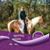 Laurie Wieting Johnson's profile image