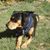 James Somersett's profile image