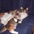 Sandra Garrison Turner's profile image