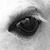 Lobola Equine's profile image