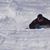 David Mapes's profile image