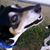 Cubby Weathers's profile image