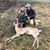 Greg Leitl's profile image