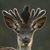 Paula Bartholomy's profile image