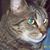 Dixie Daniels's profile image
