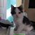 Susannah Lance's profile image