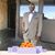 John McLendon's profile image