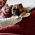 Sherry Barnshaw Lavene's profile image