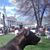 Stephen Forbes Jr.'s profile image
