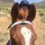 Kristen Clark's profile image