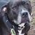 Debby Kiesz Clark's profile image