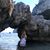 Mica Flores's profile image