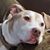 Kathy Tierney DeMase's profile image