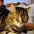 Bridgitte Shott Jones's profile image