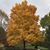 Mark Sansbury's profile image