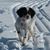 Chuck Bever's profile image