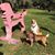Jennifer Mickle Dodds's profile image