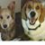 Lynda Plummer's profile image
