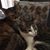 Mary L Ward's profile image