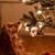 Sheri Egglefield Williams's profile image