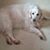 Billie Clegg Haney's profile image