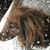 Jackie Campbell's profile image
