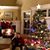 Shelly Tryc VanArsdalen's profile image