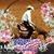Mary Lange Knopp's profile image