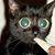 Phil N DeBlanc's profile image