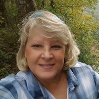 Sandy Davis's profile image