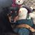 Kristine Beer Greaney's profile image