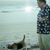 Bruce Brown's profile image