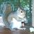 Pam Spragins's profile image